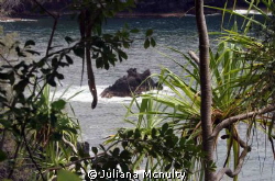Hawaii by Juliana Mcnulty 